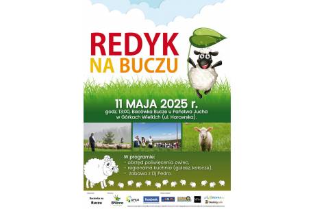 Redyk na Buczu